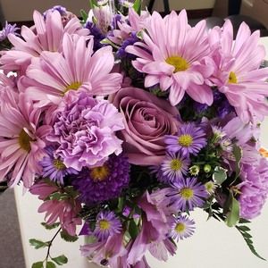 Meet your Posher, Wanda